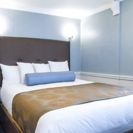 Sand Dollar Room offers a Queen bed, sleeps two and is not dog friendly.