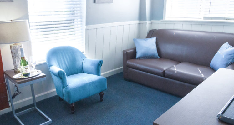 The Water Tower Cottage living area has a pull out sofa bed.